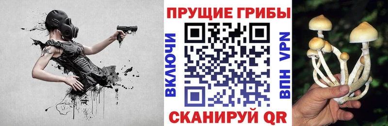 Галлюциногенные грибы Cubensis  маркетплейс официальный сайт  Павлово 